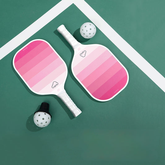 Your Complete Pickleball Set